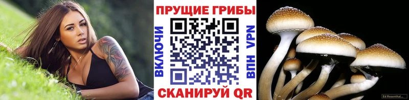 Галлюциногенные грибы MAGIC MUSHROOMS  Купить  Приморско-Ахтарск 